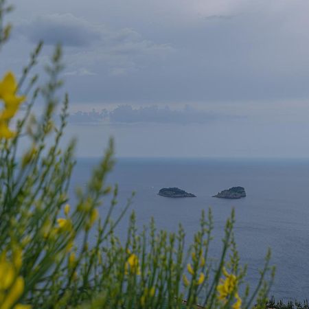 Villa La Pace Sant'Agnello Exterior photo