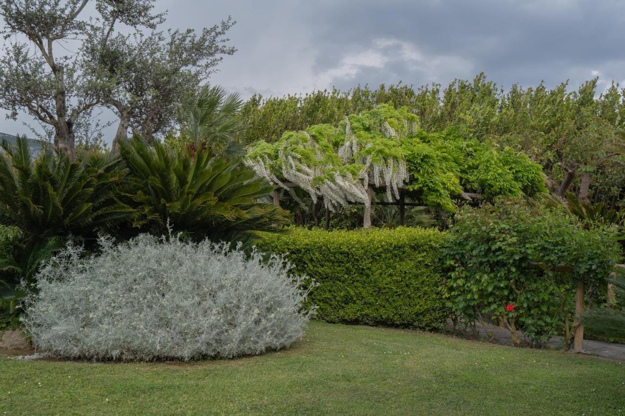 Villa La Pace Sant'Agnello Exterior photo