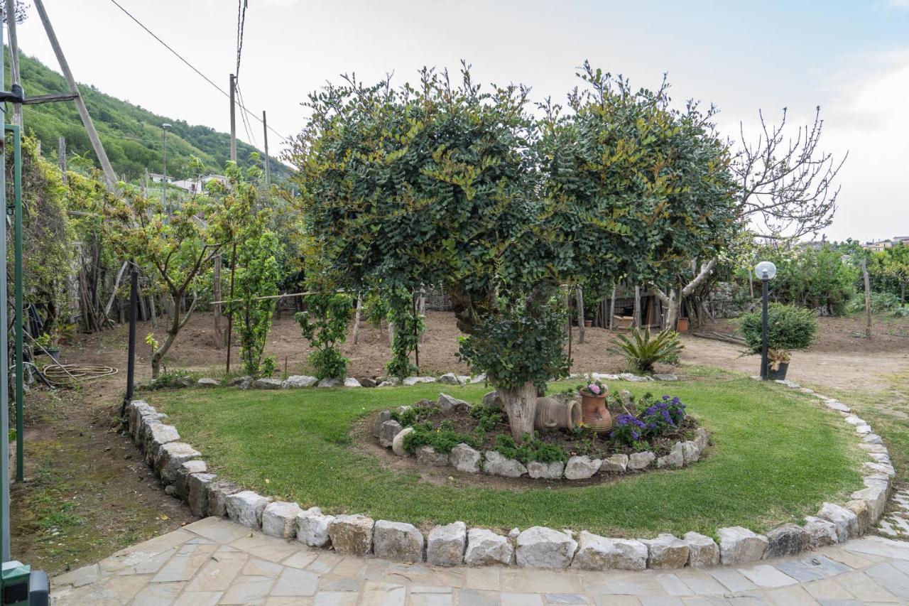 Villa La Pace Sant'Agnello Exterior photo