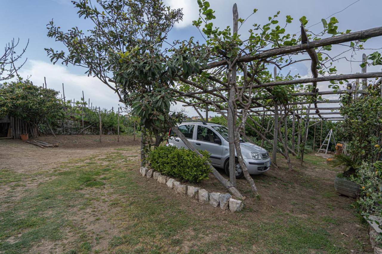 Villa La Pace Sant'Agnello Exterior photo